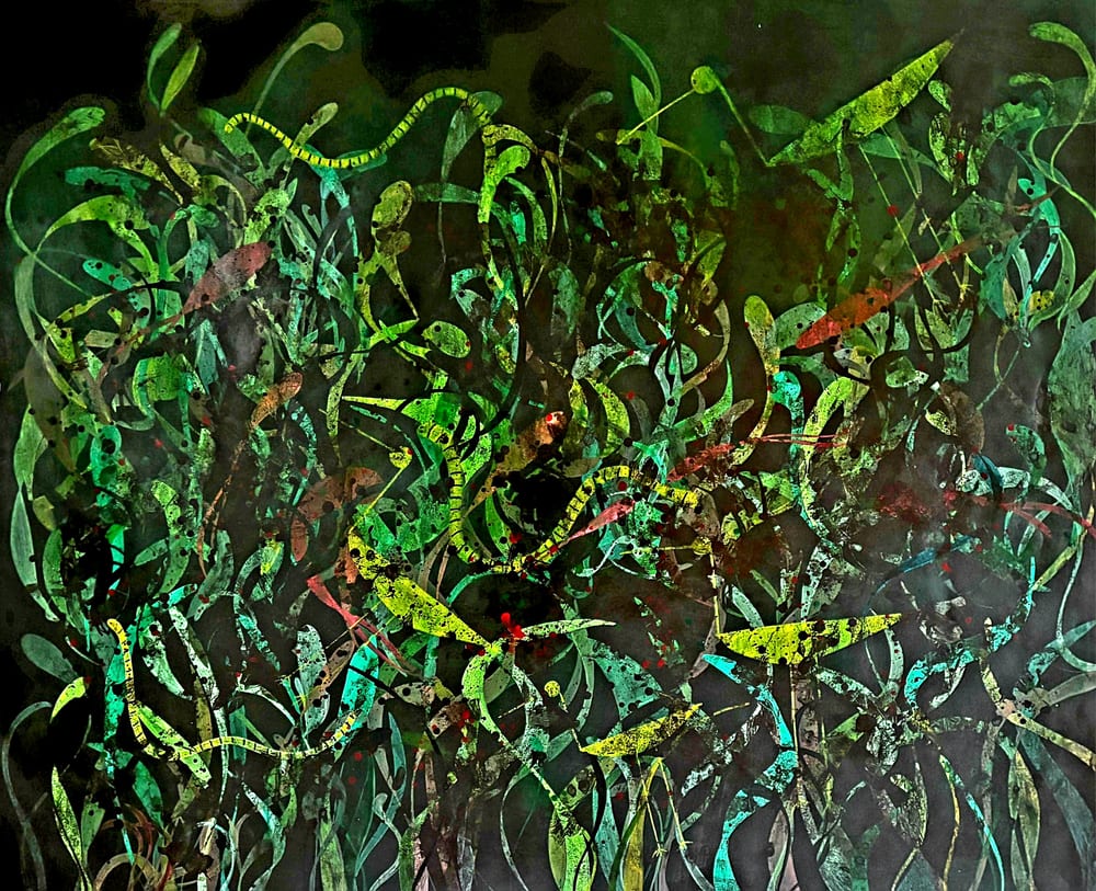 Discover Image